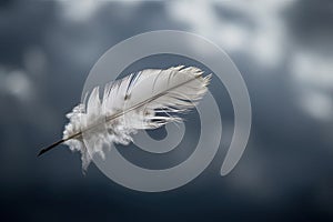 Solitary white fluffy feather floating against a gloomy cloudy sky background