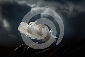 Solitary white fluffy feather floating against a gloomy cloudy sky background