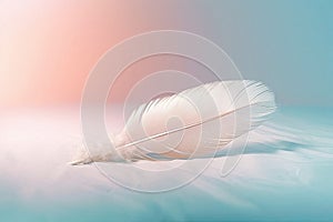 Solitary white fluffy feather with a soft pastel background