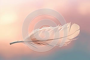 Solitary white fluffy feather with a soft pastel background