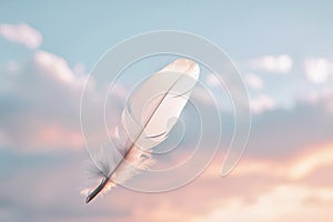 Solitary white fluffy feather with a soft pastel background