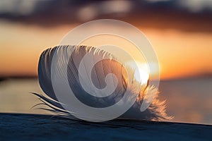 Solitary white fluffy feather with a stunning sunset background