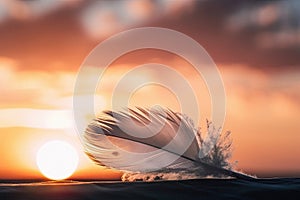 Solitary white fluffy feather with a stunning sunset background