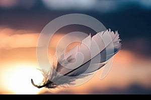 Solitary white fluffy feather with a stunning sunset background