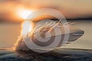 Solitary white fluffy feather with a stunning sunset background