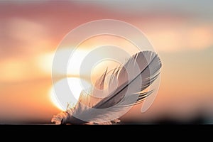 Solitary white fluffy feather with a stunning sunset background