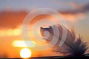 Solitary white fluffy feather with a stunning sunset background