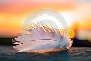 Solitary white fluffy feather with a stunning sunset background