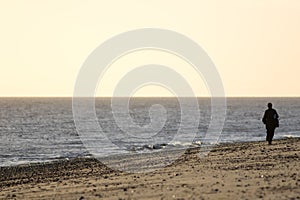 Solitude. Lone beach walker