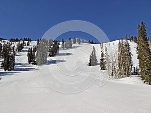 Solitude Ski resort in Utah