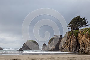 Solitude on a windswept cliff