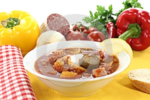 Soljanka in a soup bowl with lemon