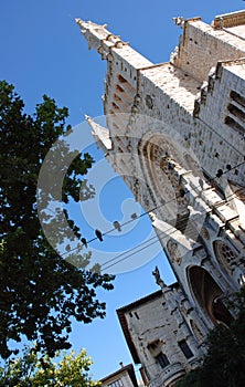 Soller Cathedral photo