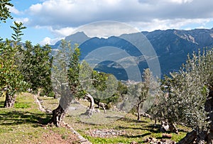 Soller walking path