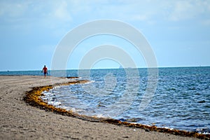 Solo beach walk ashore