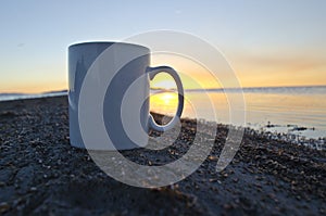 A solo blank coffee mug dead bug shoreline