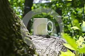 A solo blank white coffee mug on the trees