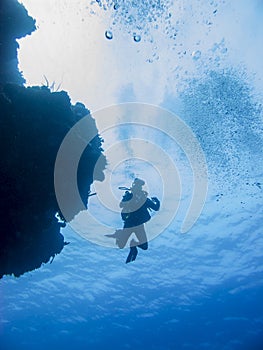 Solo diver from below