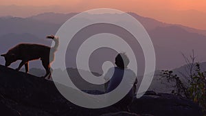 solo freelancer man camping work outdoor and relax play with dog and see sunset with layer of mountain background