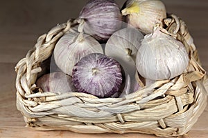 Solo garlic