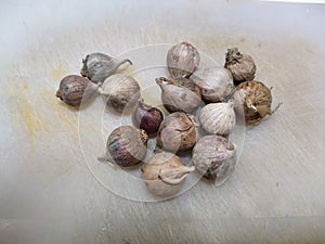 Solo garlic bulbs on cutting board