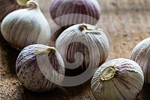 Solo garlic bulbs on rough wood background with copyspace. Horizontal