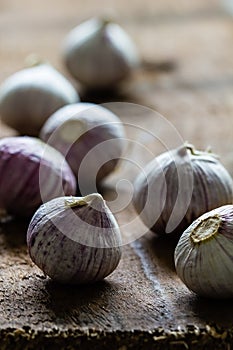 Solo garlic bulbs on rough wood background with copyspace. Vertical