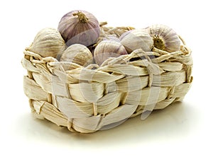 Solo garlic isolated