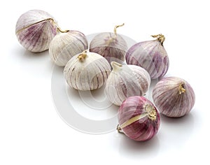 Solo garlic isolated