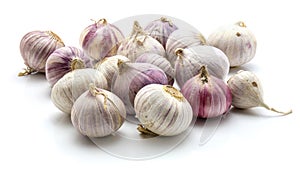 Solo garlic isolated