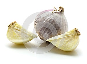 Solo garlic isolated