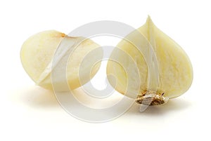 Solo garlic isolated