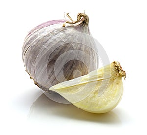 Solo garlic isolated