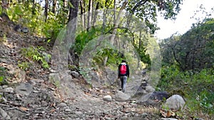 Solo Hiker in Dehradun Woods: Adventure Travel