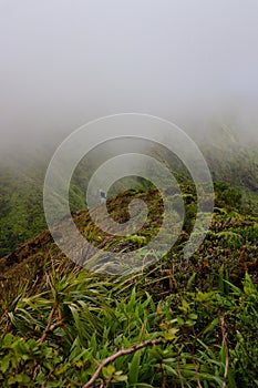 Solo Hiker in Koolau Mountains