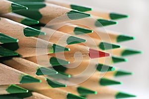 Solo lone red pencil standing out in the crowd of green ones