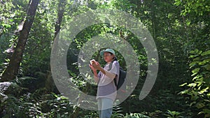 Solo woman hiker searching for directions on mobile smartphone via GPS and internet connection while standing in dense rainforest.