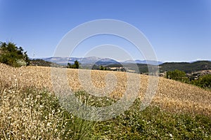 Solsona landscape with Montsec range at background photo