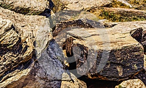 Solstice Stones Petroglyphs Puerco Pueblo Petrified Forest National Park Arizona photo