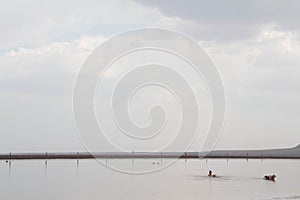 Solt lake Baskunchak. Astrakhan Region, Russia