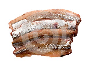 Solted fish filet isolated