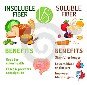 Soluble and insoluble fibre benefits. Editable vector illustration