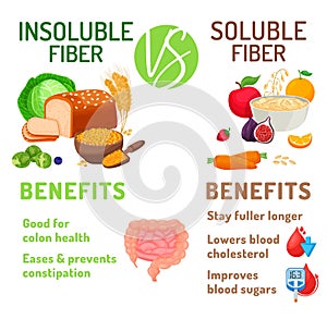 Soluble and insoluble fibre benefits. Editable vector illustration photo