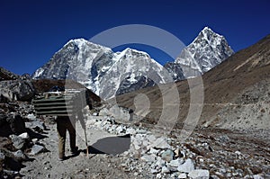 Solukhumbu, Nepal, Everest trek, Porters are carrying extremely big load photo