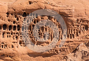 Solution hole in sandstone, northern Arizona
