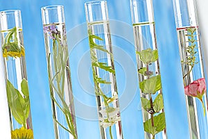 Solution of medicinal plant and flowers