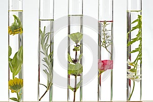 Solution of medicinal plant and flowers