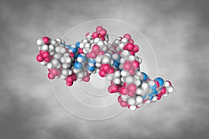 Solution-state structure of a dna dodecamer duplex containing a cis-syn thymine cyclobutane dimer. Space-filling photo