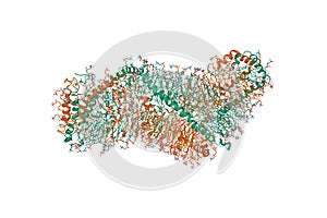 Solution structure of double super helix model of high density lipoprotein