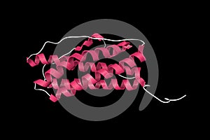 Solution structure of human prolactin, a hormone produced in the pituitary gland, named because of its role in lactation